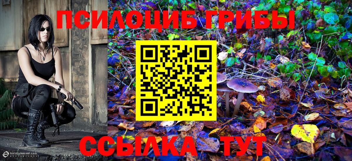 Галлюциногенные грибы прущие грибы  Вход с VPN  Псилоцибиновые грибы мухоморы  Мценск 