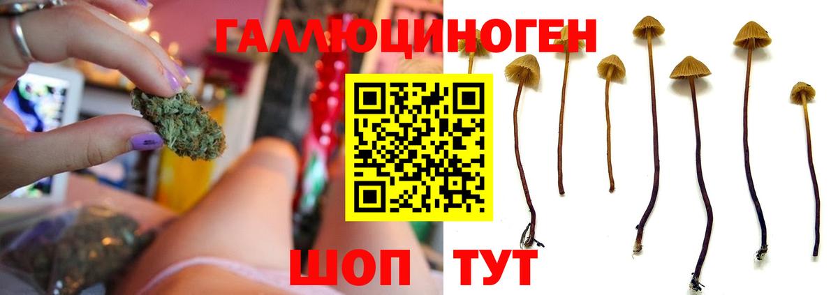Псилоцибиновые грибы Magic Shrooms Мценск